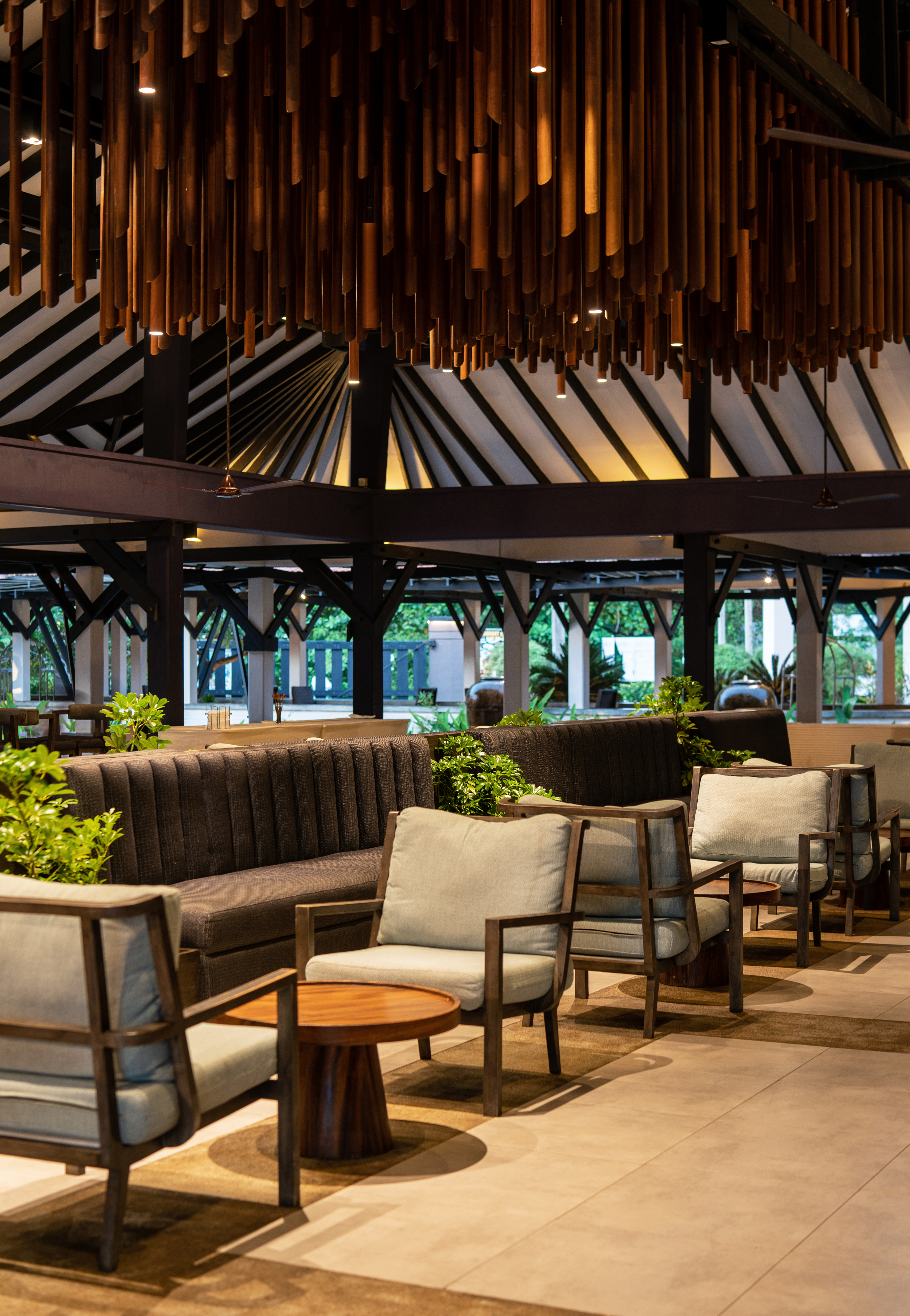 Club Dolphin - Image 13