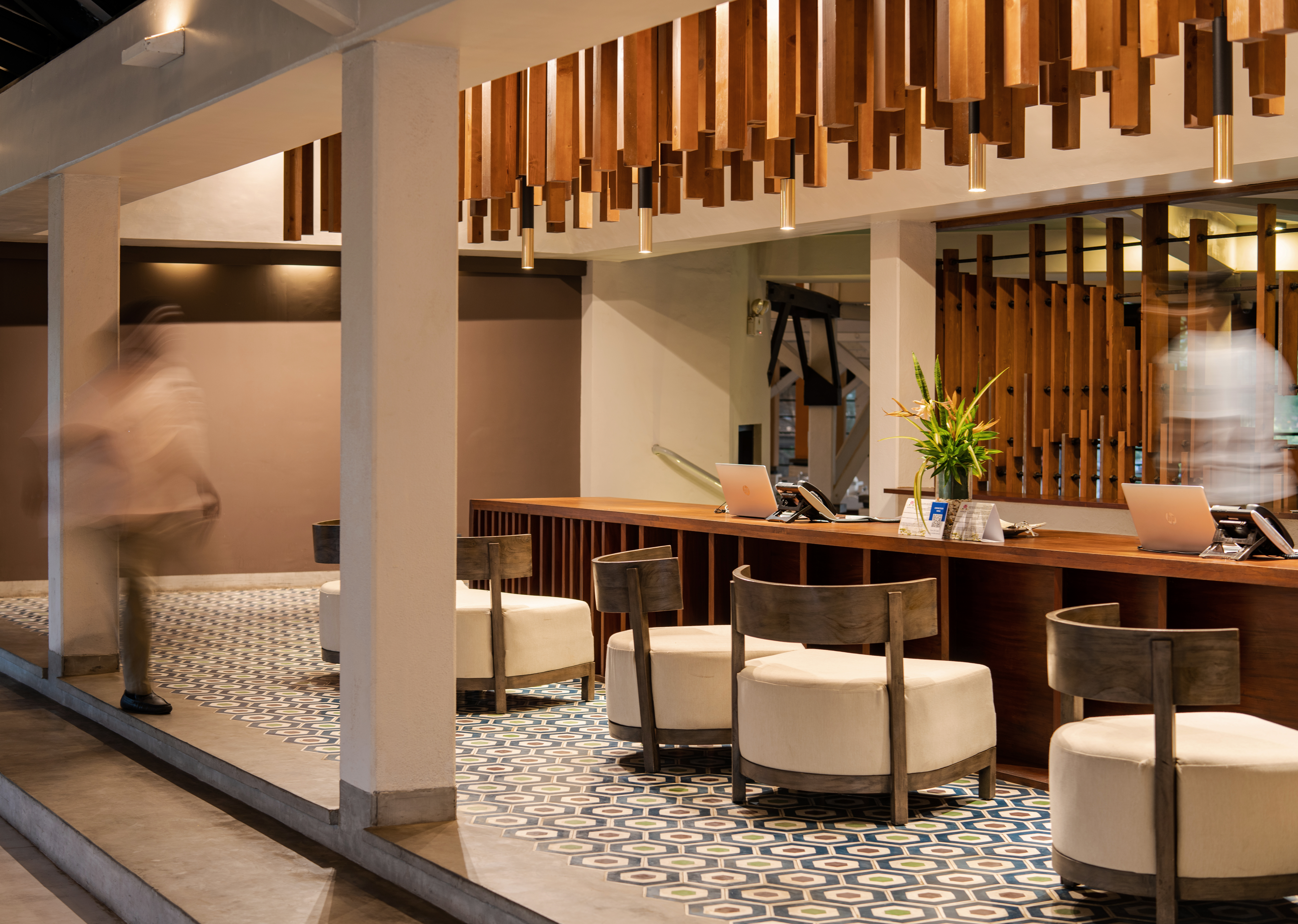 Club Dolphin - Image 9