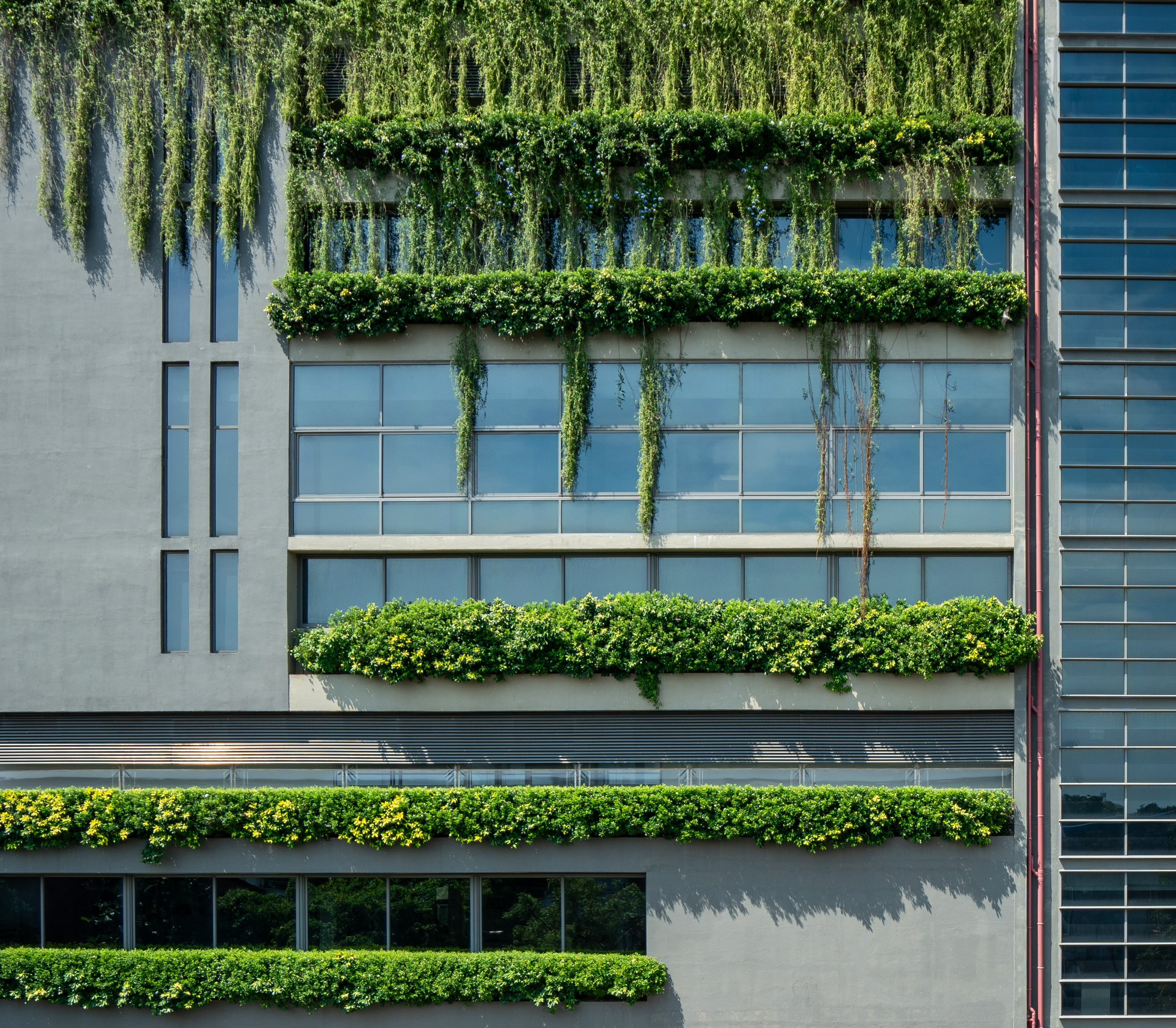 MOUNT LOTUS EYE & ENT HOSPITAL - Image 10