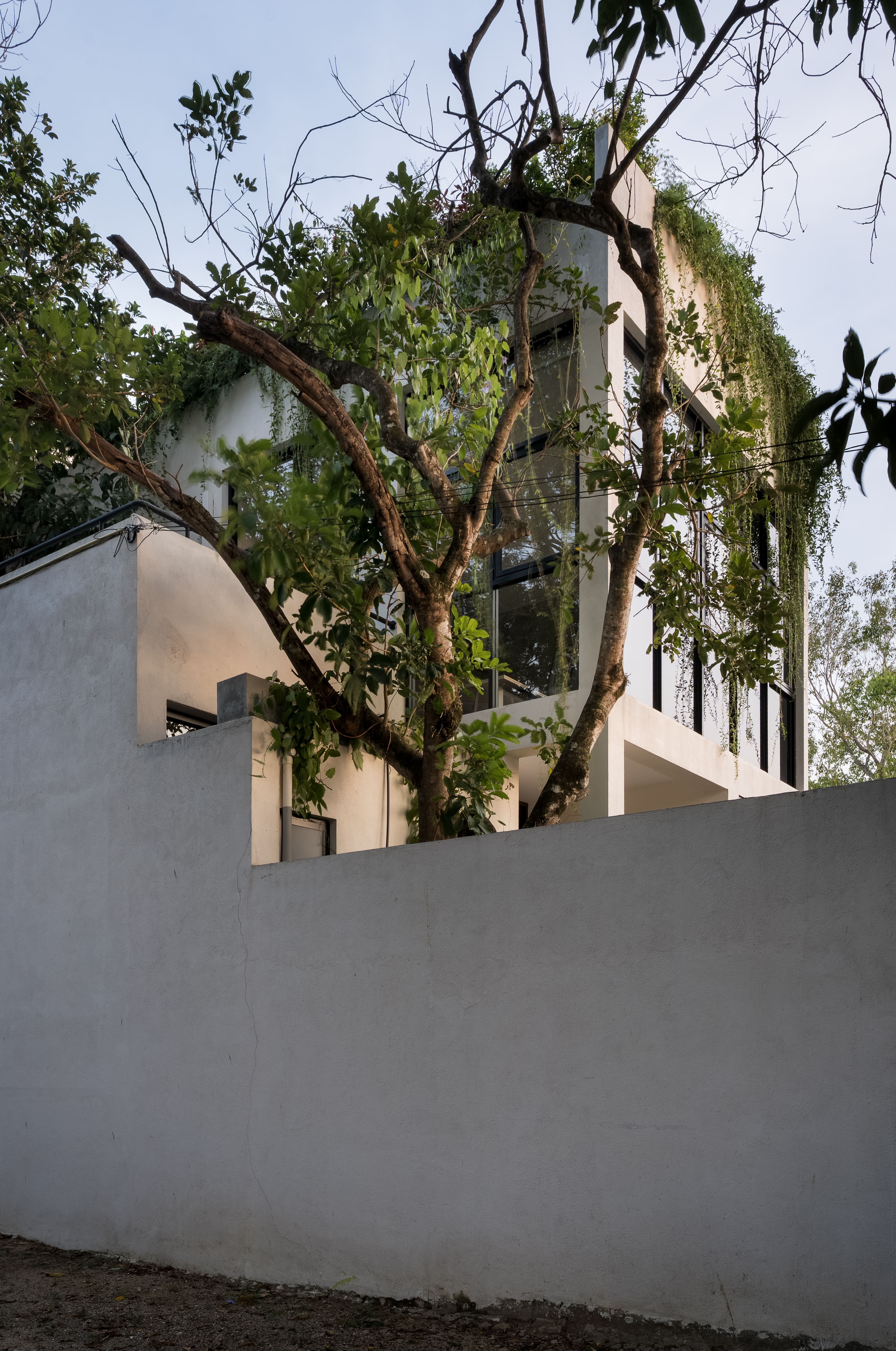 TEALINK - Battaramulla - Image 17